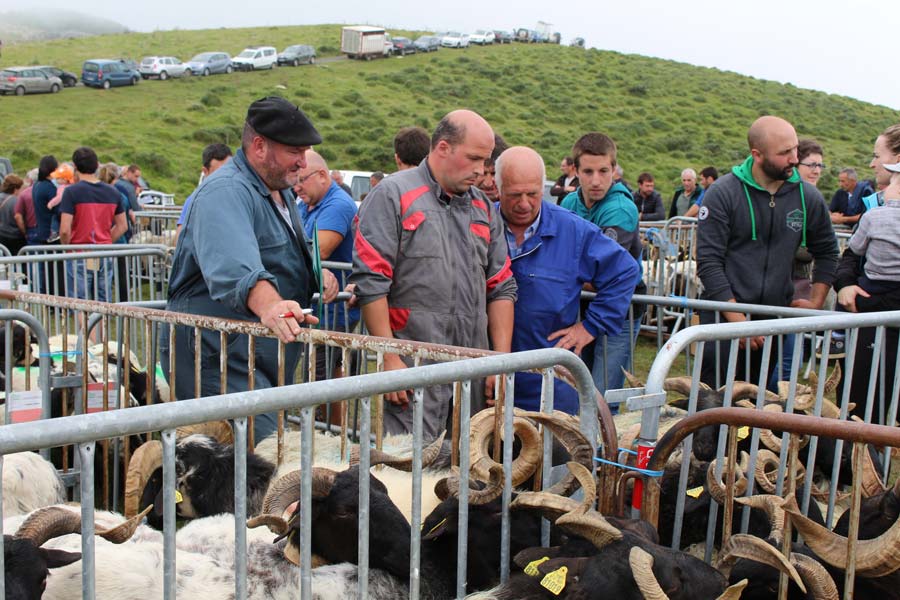 Journée festive autour du pastoralisme le 21 juillet à Iropile