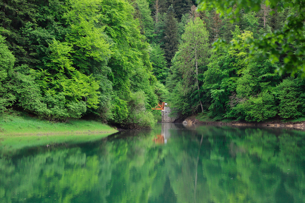 Pantano de Irabia