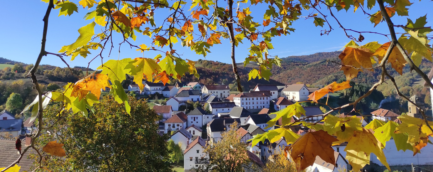 Jaurrieta