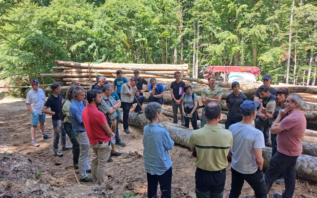 Irati Lau Ibarrak organiza una reunión sobre gestión forestal en las Casas de Irati